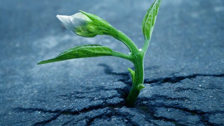 ALLAH'TAN ÜMİD KESMEMEK...